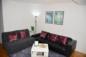 Nice and Cozy 2 bedroom apartment in Oslo Central